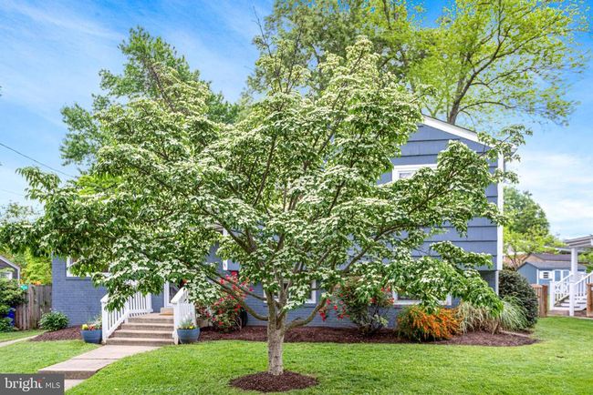 3603 Astoria Rd, House other with 4 bedrooms, 3 bathrooms and null parking in KENSINGTON MD | Image 5