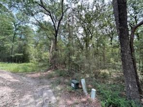 Land in Huntsville 3