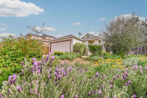 166 Placer Dr, Jackson, CA, 95642-2157 | Card Image