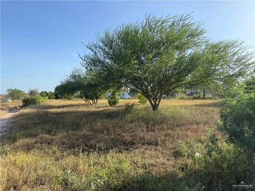 9009 Vista Ridge Drive, Edcouch, TX, 78538 | Card Image