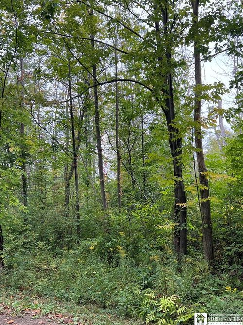 0 Tastor Ln, Fredonia, NY, 14063 | Card Image