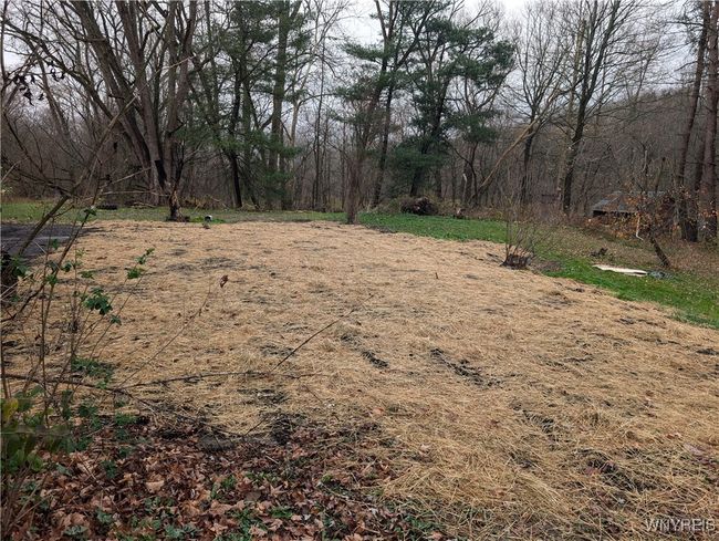 3825 Creek Rd, Home with 0 bedrooms, 0 bathrooms and null parking in Chaffee NY | Image 9