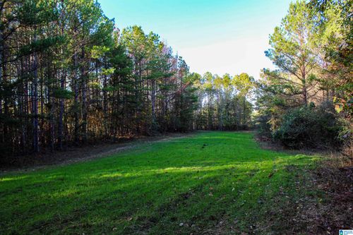 1-1 County Road 1, Lynn, AL, 35575-2230 | Card Image