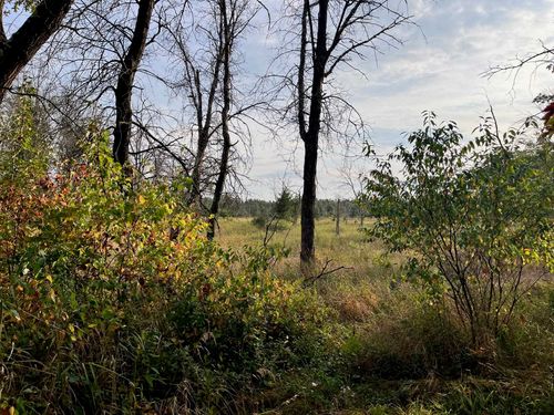 1193 Beaver Ave, NEKOOSA, WI, 54457-9255 | Card Image