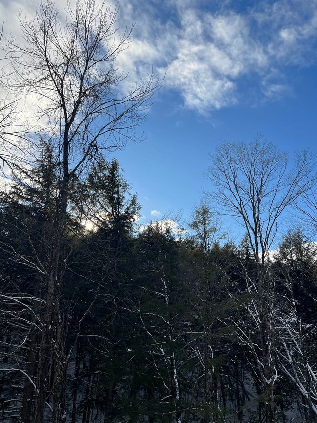 00 Barnard Rd, Home with 0 bedrooms, 0 bathrooms and null parking in Barnard VT | Image 8
