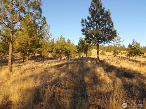 0 Tbd Bear Camp Road, Tonasket, WA, 98855 | Card Image