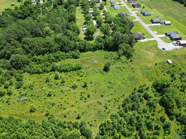 14 Acres Beaver Creek Rd, Home with 0 bedrooms, 0 bathrooms and null parking in Laceys Spring AL | Image 17