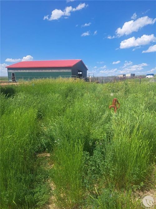 1851 Goulding Creek Road, Broadview, MT, 59015 | Card Image