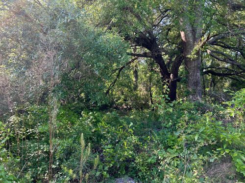 Tbd Black Ave, Bamberg, SC, 29003 | Card Image