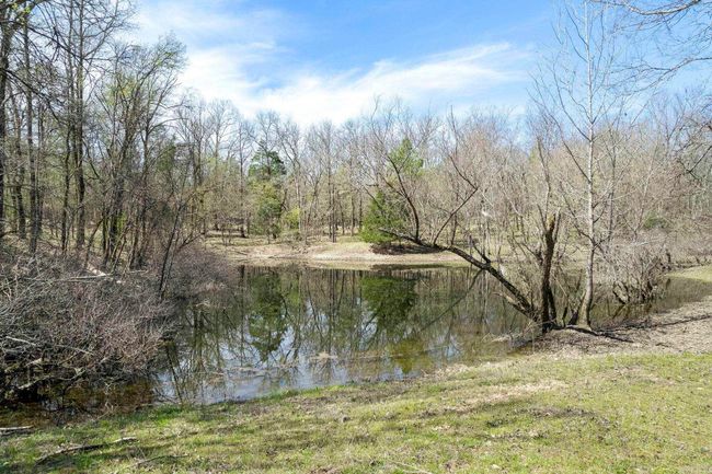 12700 Cabin Creek Loop, House other with 4 bedrooms, 3 bathrooms and null parking in Lonsdale AR | Image 46