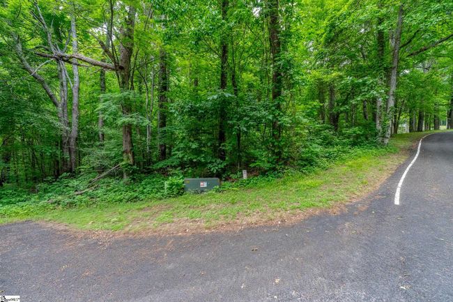 76 Southview Ledge Rd, Home with 0 bedrooms, 0 bathrooms and null parking in Landrum SC | Image 10