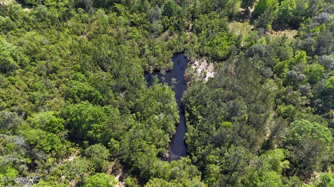 AERIAL | Image 35