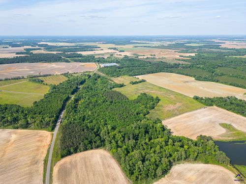 1 Tippettville Rd, Pineview, GA, 31071-5342 | Card Image