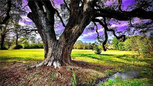 204 Magnolia St, Mandeville, LA, 70448-4540 | Card Image