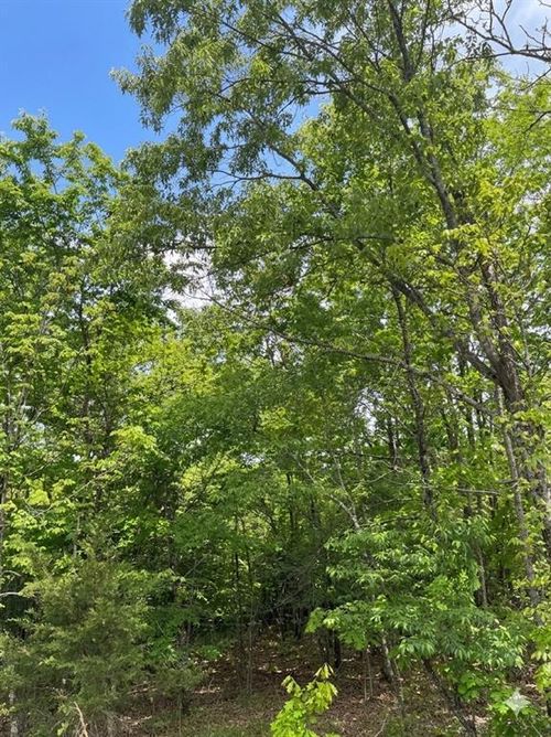 5 W Vista Ridge Trail, Watson, OK, 74957 | Card Image