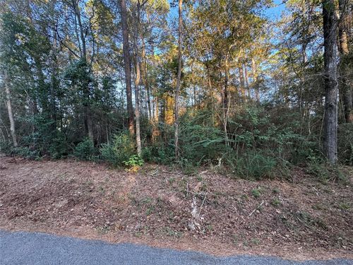 TBD Eastwood Avenue, Coldspring, TX, 77331 | Card Image