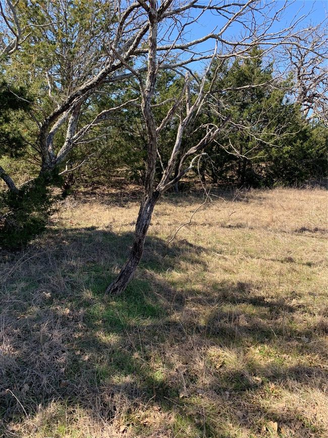 1 Northshore Lane, Home with 0 bedrooms, 0 bathrooms and null parking in Valley View TX | Image 22