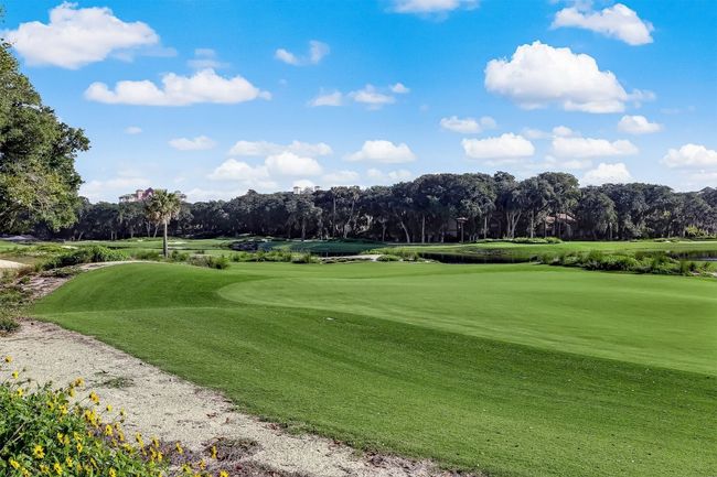 1815 Turtle Dunes Pl, Condo with 2 bedrooms, 2 bathrooms and null parking in Amelia Island FL | Image 52