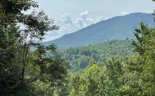 LT 72 Fires Creek Rd, Hayesville, NC, 28904-7526 | Card Image