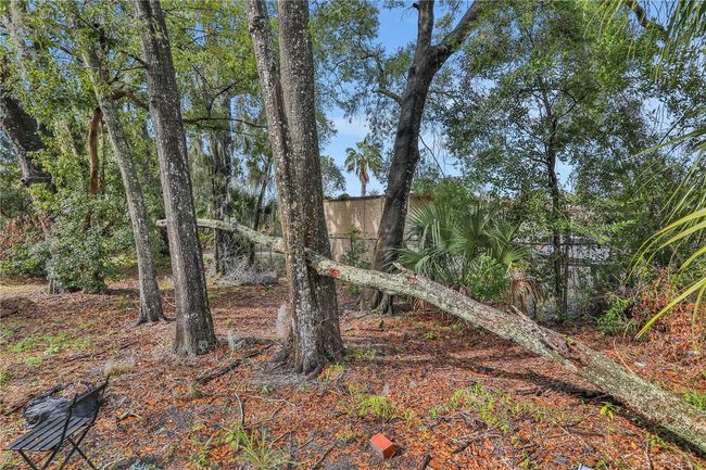 25 People St, Home with 0 bedrooms, 0 bathrooms and null parking in EATONVILLE FL | Image 38