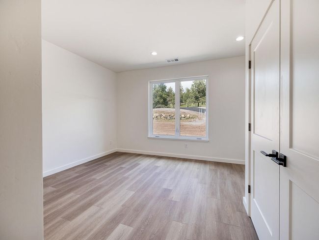 1168 Paper Birch-32 | Image 33