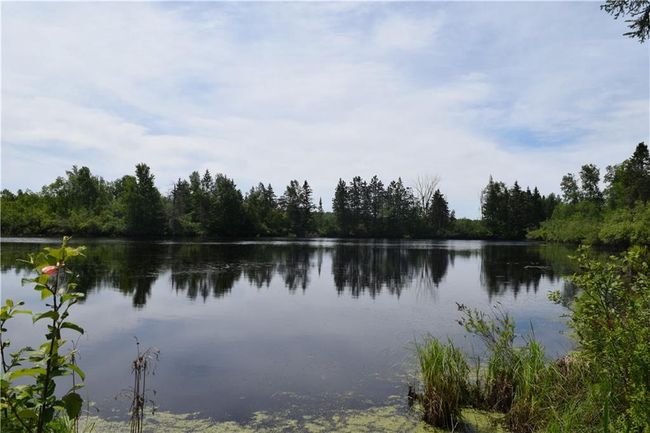 N9197 Fedyn Rd, House other with 4 bedrooms, 3 bathrooms and null parking in LADYSMITH WI | Image 28