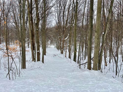 VL W Grant Rd, Shelby, MI, 49455 | Card Image