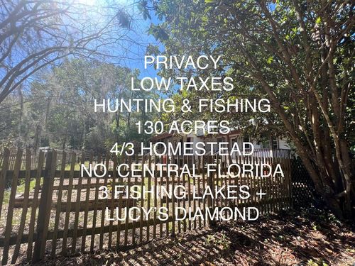 20251 Ne 60th St, WILLISTON, FL, 32696 | Card Image