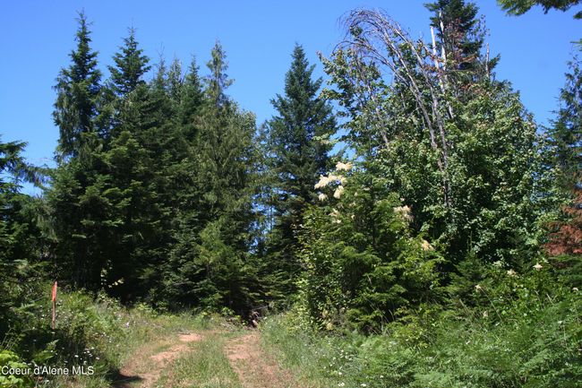 18 Majestic Mountain Rd, Home with 0 bedrooms, 0 bathrooms and null parking in Clark Fork ID | Image 25