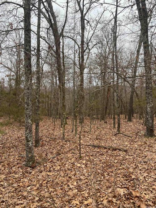 lot 5/s 9 Mile Ridge Road, Hardy, AR, 72542 | Card Image