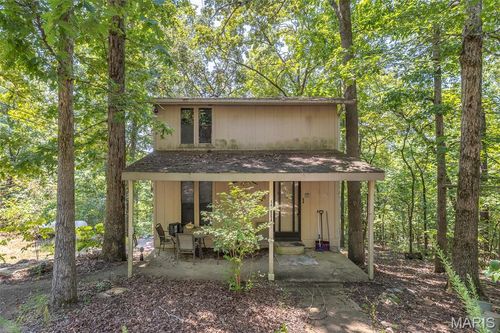 46 Dora Dr, Greenville, MO, 63944 | Card Image