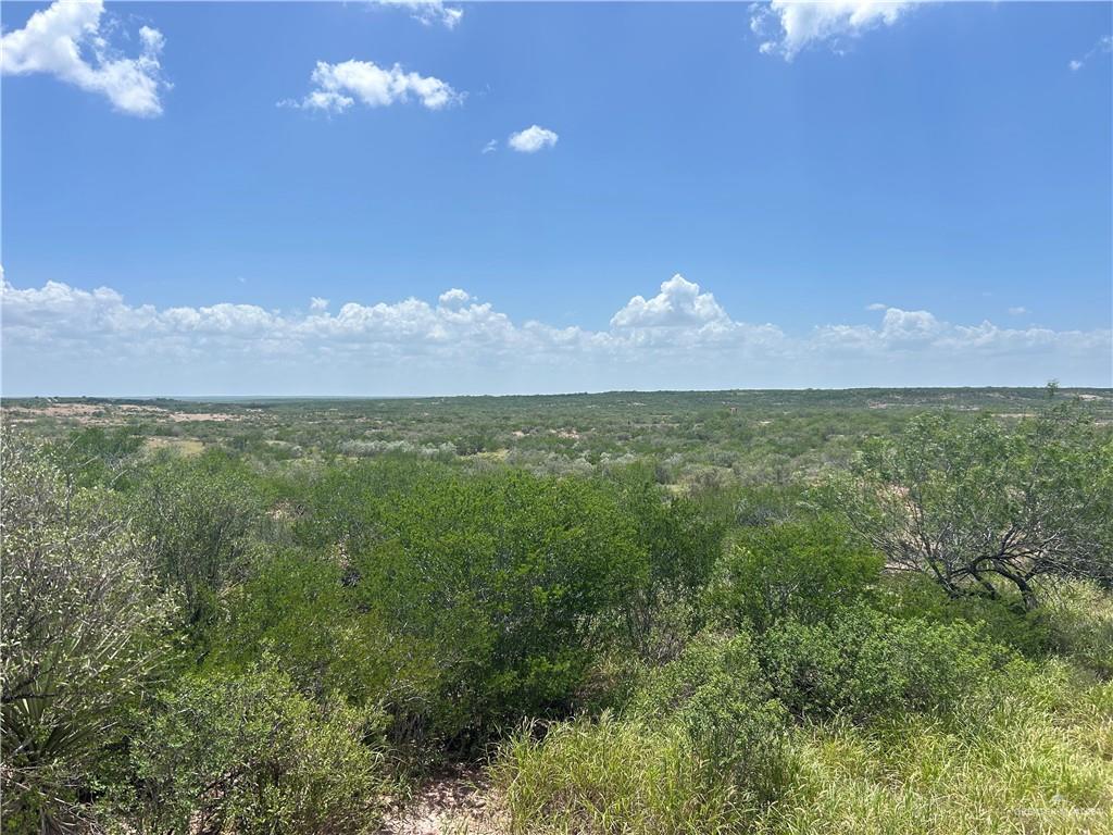Land in Zapata 4