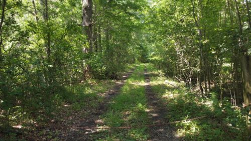 0 Rudd Rd, Ridgeville, SC, 29472 | Card Image