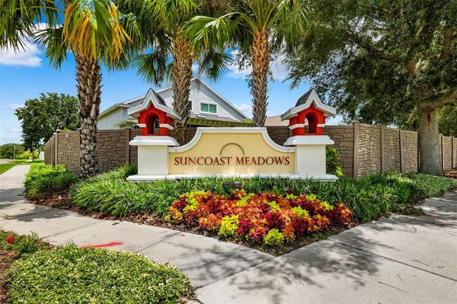 3549 Cardinal Feather Dr, House other with 3 bedrooms, 3 bathrooms and null parking in LAND O LAKES FL | Image 39