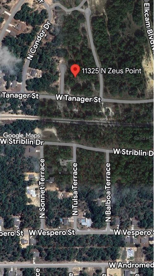 11325 N Zeus Pt, DUNNELLON, FL, 34433 | Card Image