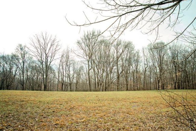 13300 Scottsville Rd, Home with 0 bedrooms, 0 bathrooms and null parking in Lucas KY | Image 14