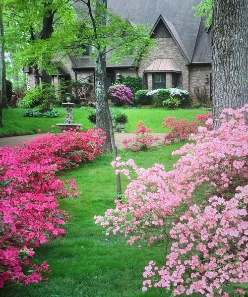 8181 Meadow Glen Dr, Germantown, TN, 38138-6158 | Card Image