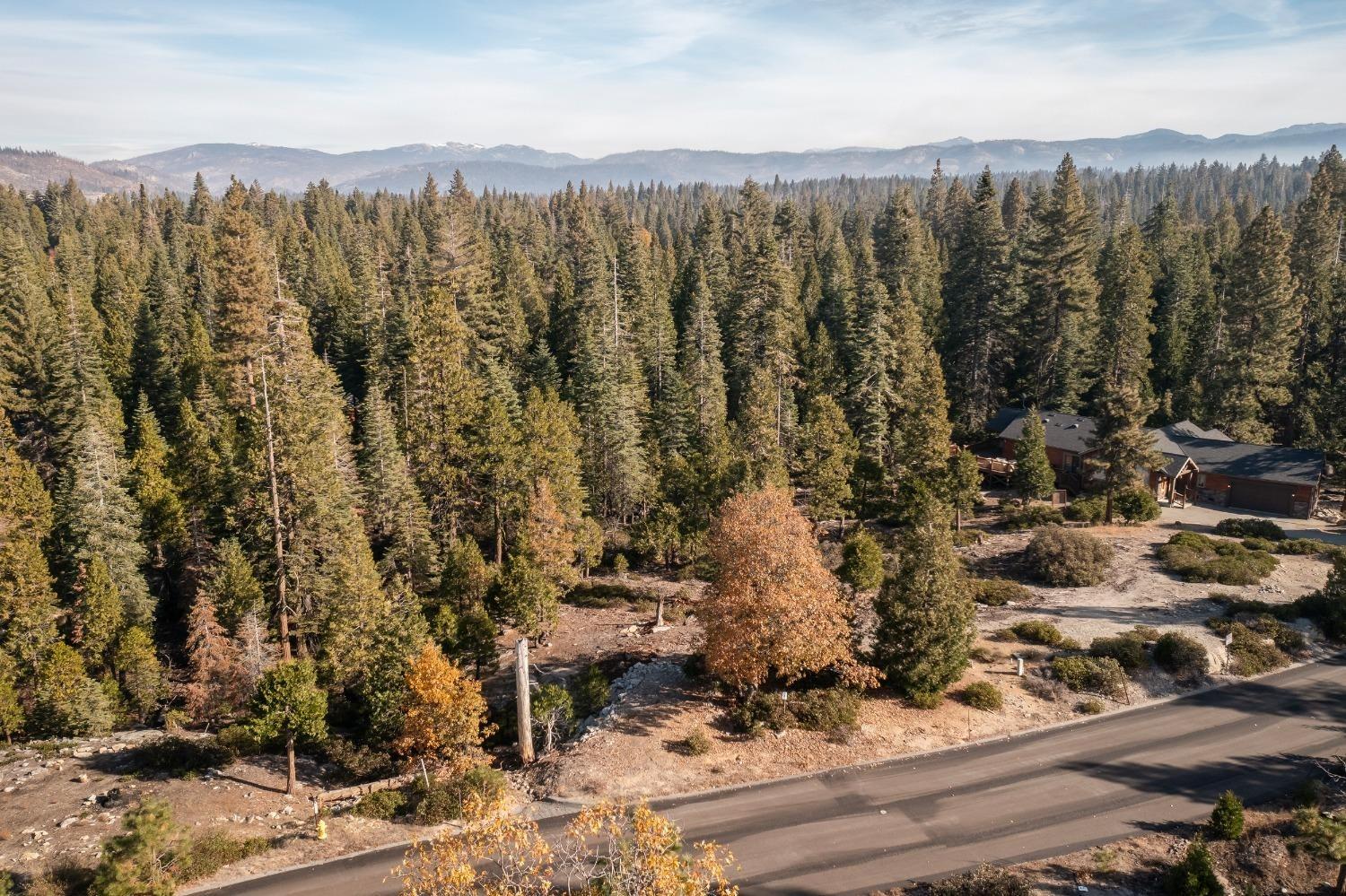 Land in Shaver Lake