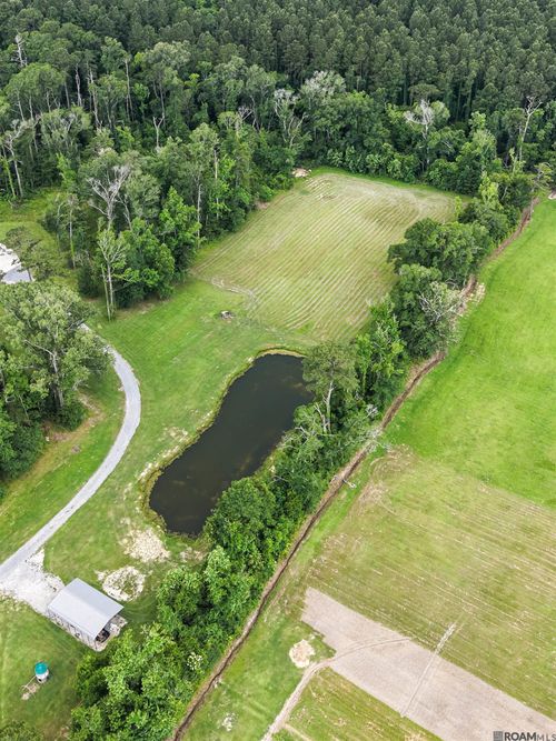 TBD La Highway 42, Livingston, LA, 70754 | Card Image