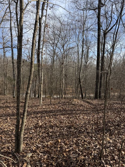 0 Midfield Dr, Big Sandy, TN, 38221 | Card Image