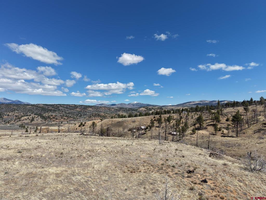 Land in Fort Garland 5