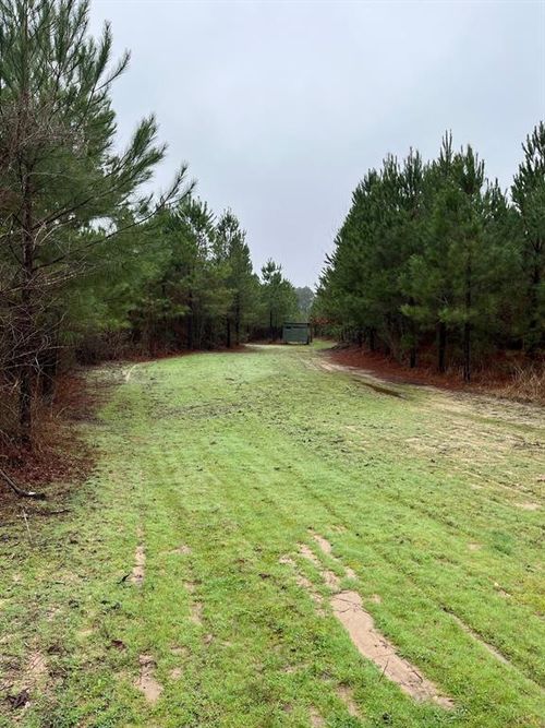 Buck Bay Private Rd Off Fm1751, BRONSON, TX, 75930 | Card Image