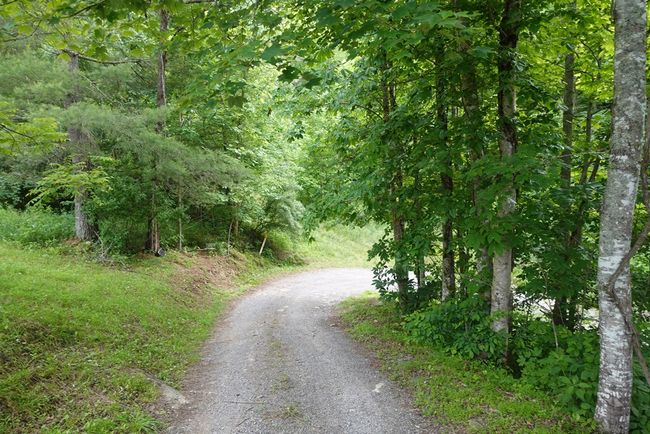 639 Dream Farm Rd., House other with 5 bedrooms, 4 bathrooms and 2 parking in Birchleaf VA | Image 71