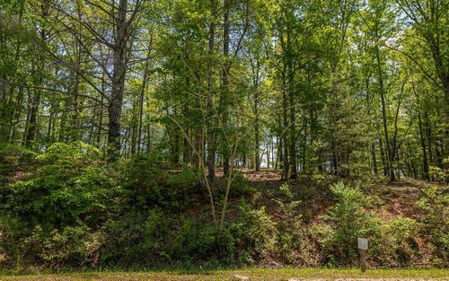 Lot 59 Old Toccoa Loop, Mineral Bluff, GA, 30559 | Card Image