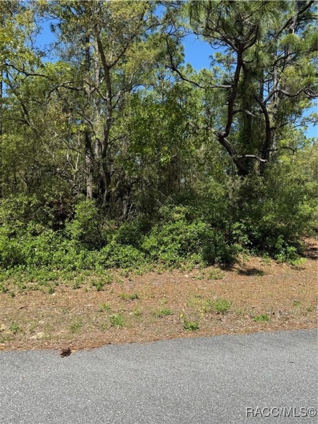6526 N Shafton Ter, Home with 0 bedrooms, 0 bathrooms and null parking in DUNNELLON FL | Image 6