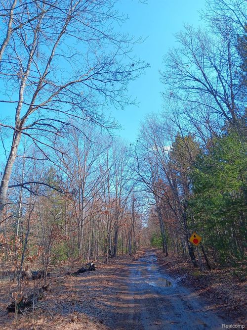 0000 Cedar Creek Rd, Wellston, MI, 49689 | Card Image