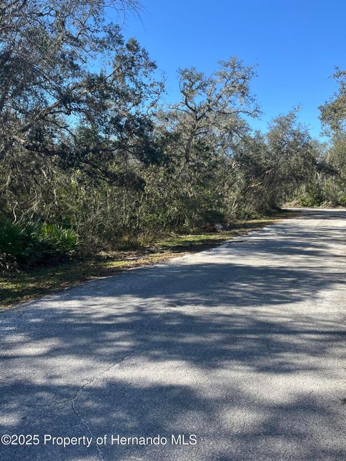 0 Excalibur Rd, WEBSTER, FL, 33597 | Card Image
