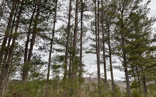 LOT45 Pinehurst Rd, Blairsville, GA, 30512 | Card Image