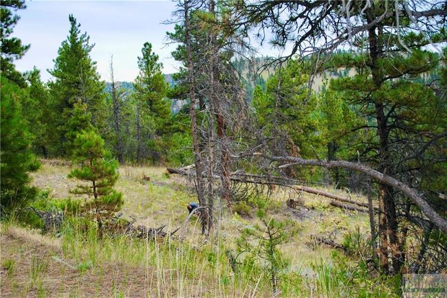 0 Box Canyon Ln, Home with 0 bedrooms, 0 bathrooms and null parking in Cascade MT | Image 4