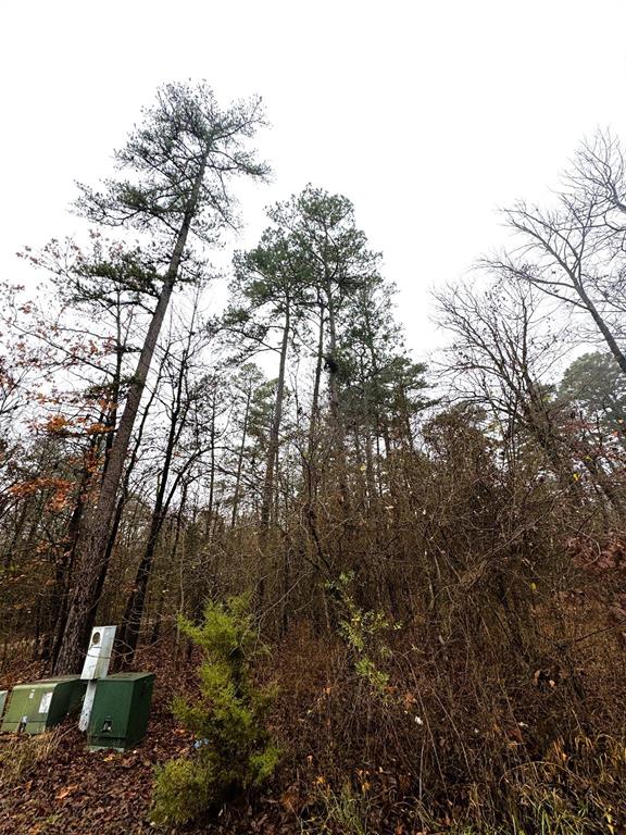 Land in Broken Bow 4